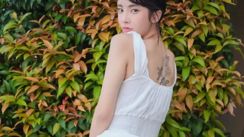 最新片段在线播放高清版大全